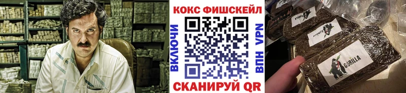 COCAIN Перу Гагарин