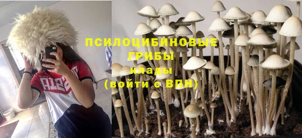 ПСИЛОЦИБИНОВЫЕ ГРИБЫ Аркадак