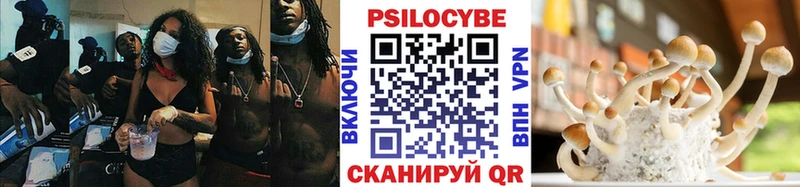 Галлюциногенные грибы Cubensis  как найти наркотики  Гагарин 